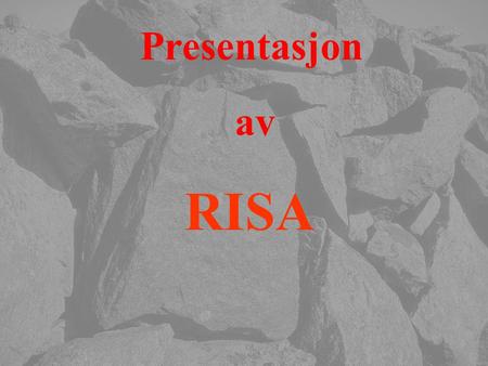 Presentasjon av RISA Eier Bjarne Risa.