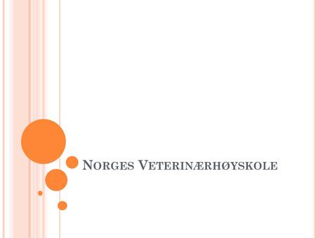 Norges Veterinærhøyskole