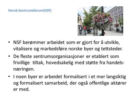 Norsk Sentrumsforum(NSF) • NSF berømmer arbeidet som er gjort for å utvikle, vitalisere og markedsføre norske byer og tettsteder. • De fleste sentrumsorganisasjoner.