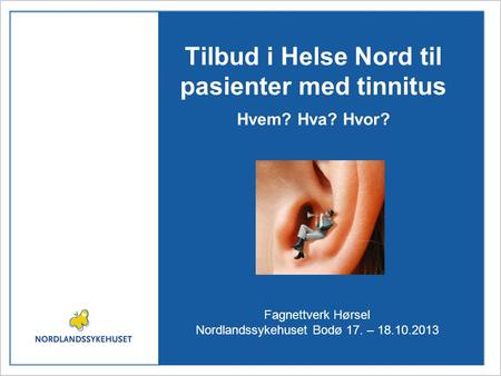 Tilbud i Helse Nord til pasienter med tinnitus Hvem? Hva? Hvor?