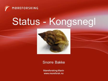 Snorre Bakke Møreforsking Marin