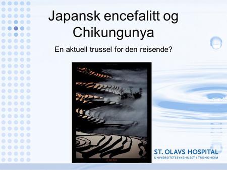 Japansk encefalitt og Chikungunya En aktuell trussel for den reisende?