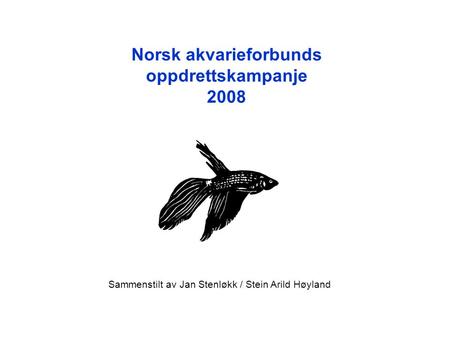 Norsk akvarieforbunds oppdrettskampanje 2008 Sammenstilt av Jan Stenløkk / Stein Arild Høyland.