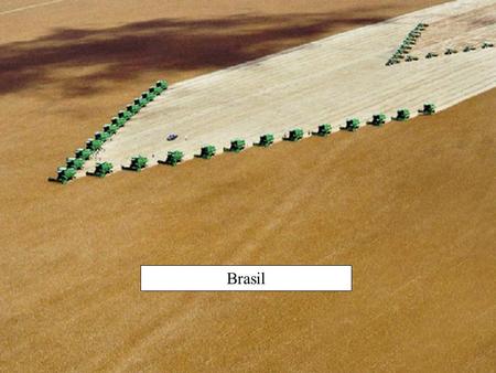Brasil. Utvikling i jord- og hagebruk 1992-2004.