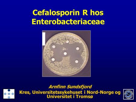 Cefalosporin R hos Enterobacteriaceae