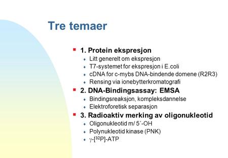 Tre temaer 1. Protein ekspresjon 2. DNA-Bindingsassay: EMSA
