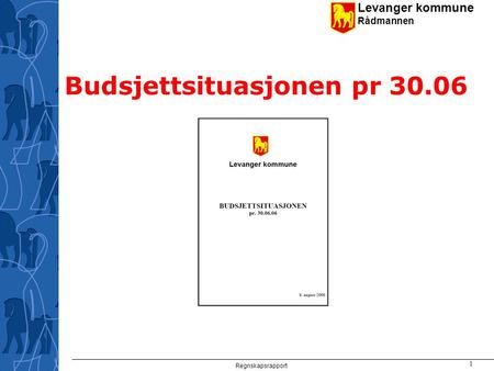 Levanger kommune Rådmannen Regnskapsrapport 1 Budsjettsituasjonen pr 30.06.