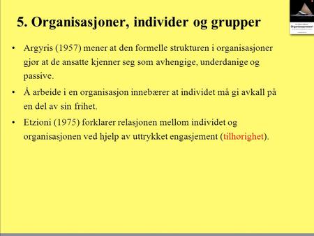 5. Organisasjoner, individer og grupper
