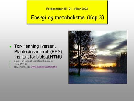 Forelesninger i BI Våren 2003 Energi og metabolisme (Kap.3)