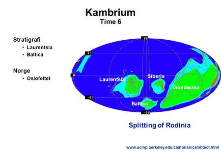 Kambrium Time 6 Splitting of Rodinia Stratigrafi Norge Laurentsia