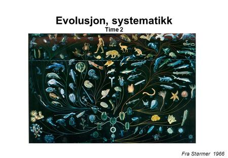 Evolusjon, systematikk Time 2