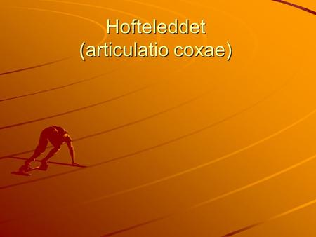 Hofteleddet (articulatio coxae)