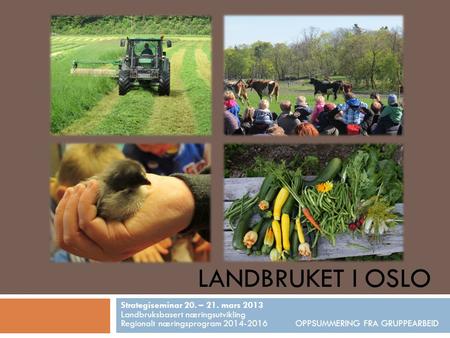 LANDBRUKET I OSLO Strategiseminar 20. – 21. mars 2013 Landbruksbasert næringsutvikling Regionalt næringsprogram 2014-2016 OPPSUMMERING FRA GRUPPEARBEID.