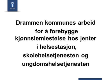 Drammen kommunes arbeid for å forebygge kjønnslemlestelse hos jenter