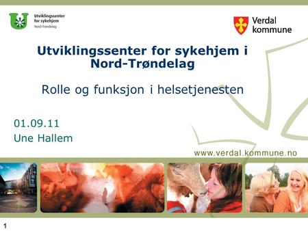 01.09.11 Une Hallem Utviklingssenter for sykehjem i Nord-Trøndelag Rolle og funksjon i helsetjenesten 1.