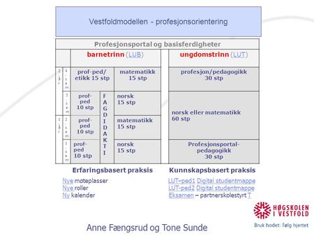 Anne Fængsrud og Tone Sunde Profesjonsportal og basisferdigheter barnetrinn (LUB)LUBungdomstrinn (LUT)LUT 2.år2.år 4.sem4.sem prof-ped/ etikk 15 stp matematikk.