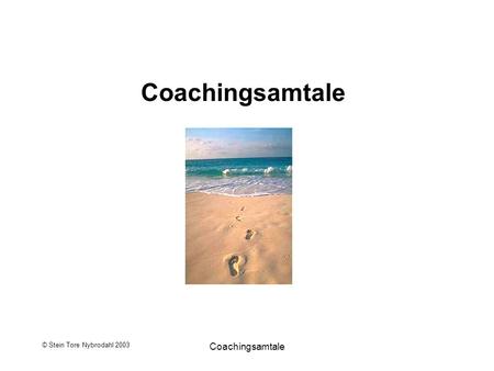 Coachingsamtale © Stein Tore Nybrodahl 2003 Coachingsamtale.