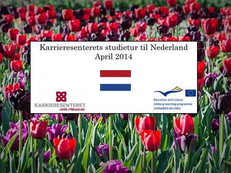 Karrieresenterets studietur til Nederland April 2014.