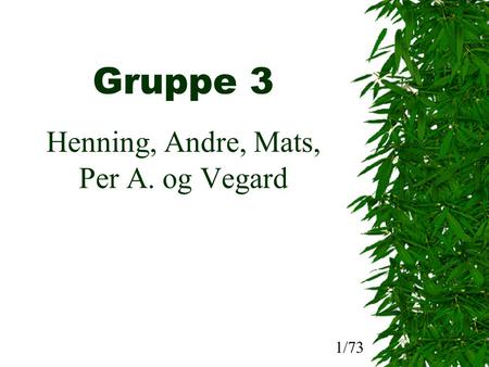 Gruppe 3 Henning, Andre, Mats, Per A. og Vegard 1/73.