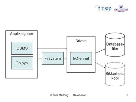 © Tore Mallaug Databaser1 DBMS Op.sys. FilsystemI/O-enhet Applikasjoner Drivere Sikkerhets- kopi Database- filer.