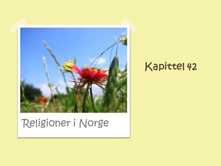 Kapittel 42 Religioner i Norge.