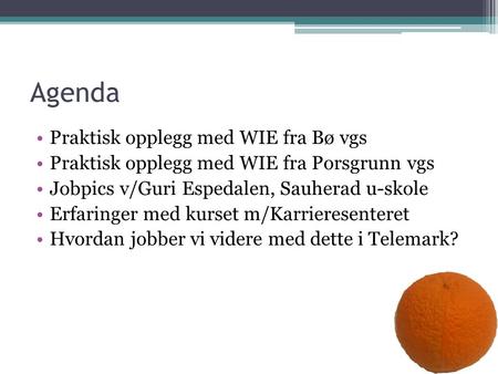 Agenda Praktisk opplegg med WIE fra Bø vgs Praktisk opplegg med WIE fra Porsgrunn vgs Jobpics v/Guri Espedalen, Sauherad u-skole Erfaringer med kurset.