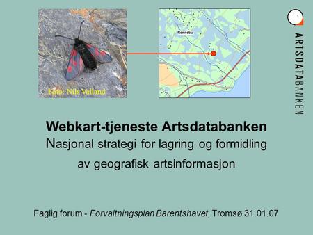 Webkart-tjeneste Artsdatabanken N asjonal strategi for lagring og formidling av geografisk artsinformasjon Faglig forum - Forvaltningsplan Barentshavet,