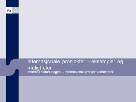 Internasjonale prosjekter – eksempler og muligheter