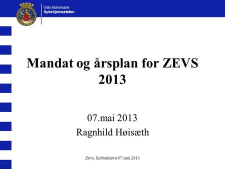 Mandat og årsplan for ZEVS 2013