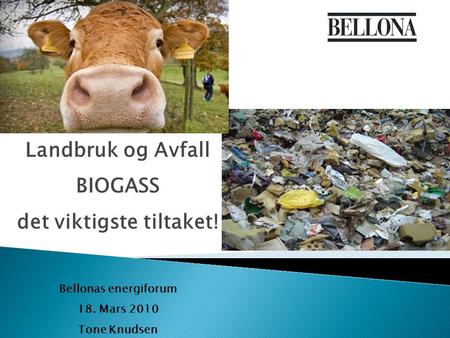 Landbruk og Avfall BIOGASS det viktigste tiltaket! Bellonas energiforum 18. Mars 2010 Tone Knudsen.