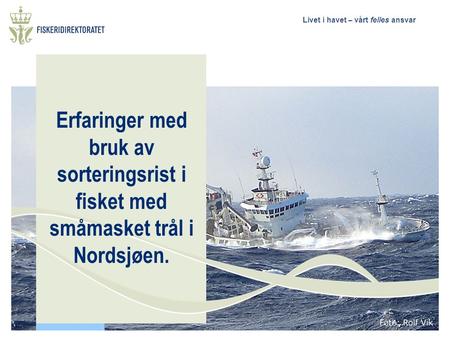 Bakgrunn for og formålet med utviklingen av sorteringsrist i fisket med småmasket trål i Nordsjøen