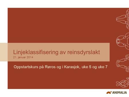 Linjeklassifisering av reinsdyrslakt 21. januar 2014