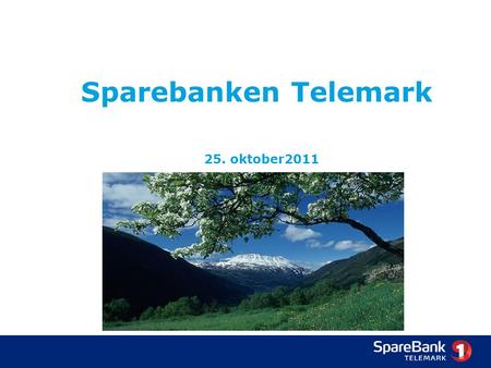 Sparebanken Telemark 25. oktober2011. SpareBank 1 Telemark - 2011 7 filialer/kontorer Markedsandel innenfor privatmarkedet (PM) i Grenland er ca. 40 %