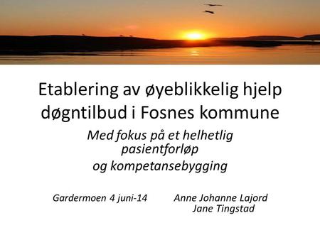 Etablering av øyeblikkelig hjelp døgntilbud i Fosnes kommune Med fokus på et helhetlig pasientforløp og kompetansebygging Gardermoen 4 juni-14 Anne Johanne.