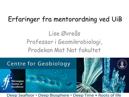 Erfaringer fra mentorordning ved UiB Lise Øvreås Professor i Geomikrobiologi, Prodekan Mat Nat fakultet.