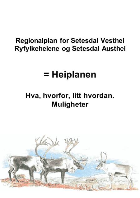 Regionalplan for Setesdal Vesthei Ryfylkeheiene og Setesdal Austhei = Heiplanen Hva, hvorfor, litt hvordan. Muligheter.