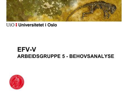 EFV-V ARBEIDSGRUPPE 5 - BEHOVSANALYSE
