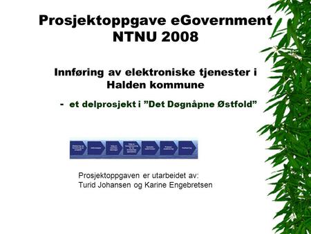 Prosjektoppgave eGovernment NTNU 2008 Innføring av elektroniske tjenester i Halden kommune - et delprosjekt i ”Det Døgnåpne Østfold” Prosjektoppgaven er.