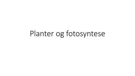 Planter og fotosyntese