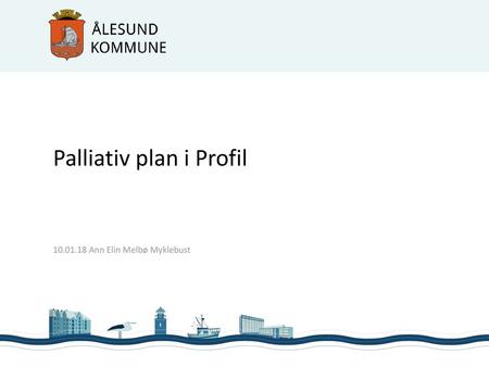 Palliativ plan i Profil