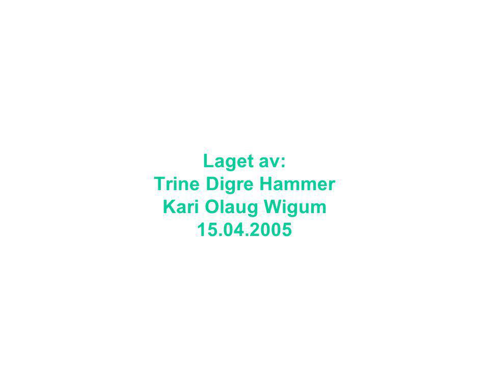 Laget av: Trine Digre Hammer Kari Olaug Wigum