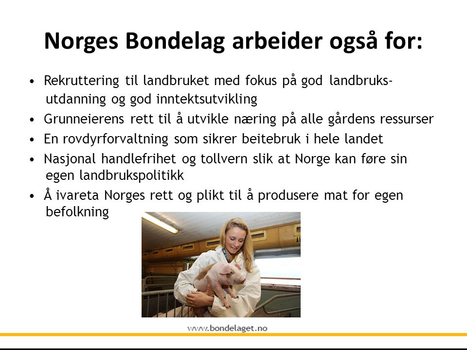 Norges Bondelag arbeider også for: