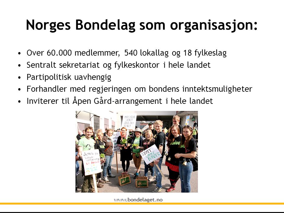 Norges Bondelag som organisasjon: