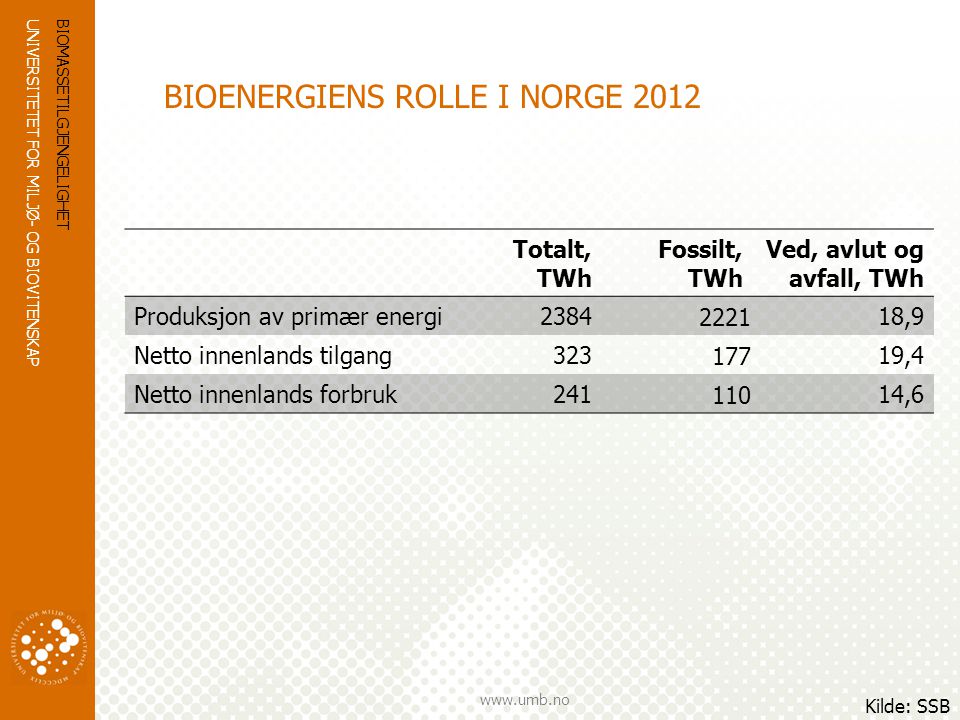 BIOENERGIENS ROLLE I NORGE 2012