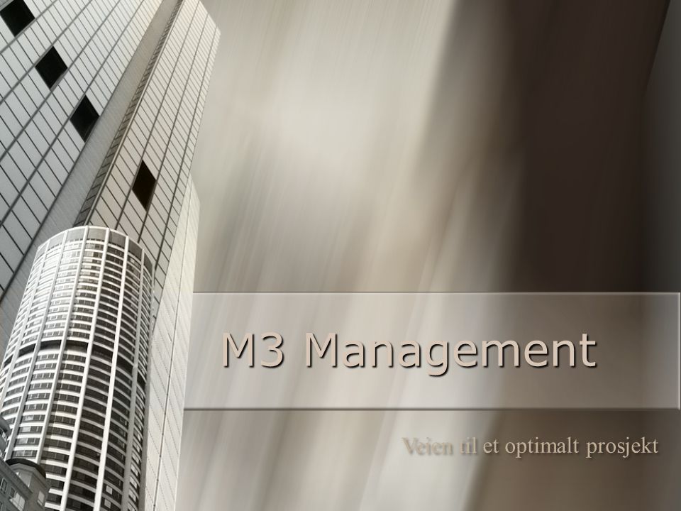M3 Management Veien til et optimalt prosjekt