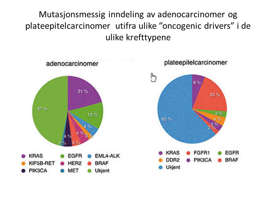 Mutasjonsmessig inndeling av adenocarcinomer og plateepitelcarcinomer utifra ulike oncogenic drivers i de ulike krefttypene