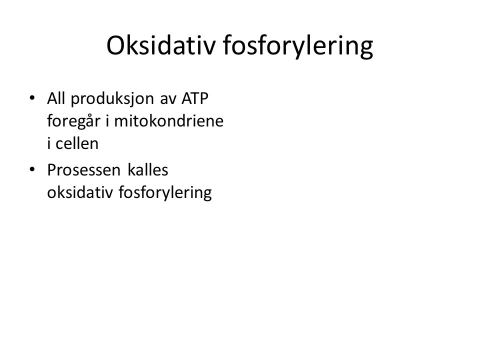 Oksidativ fosforylering