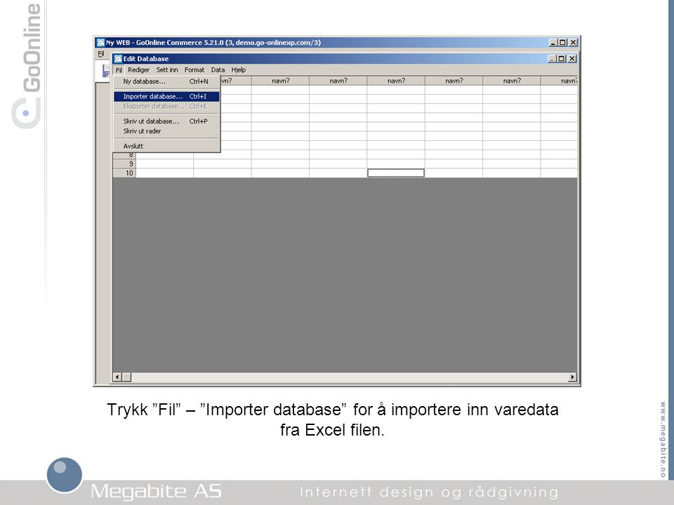 Trykk Fil – Importer database for å importere inn varedata fra Excel filen.