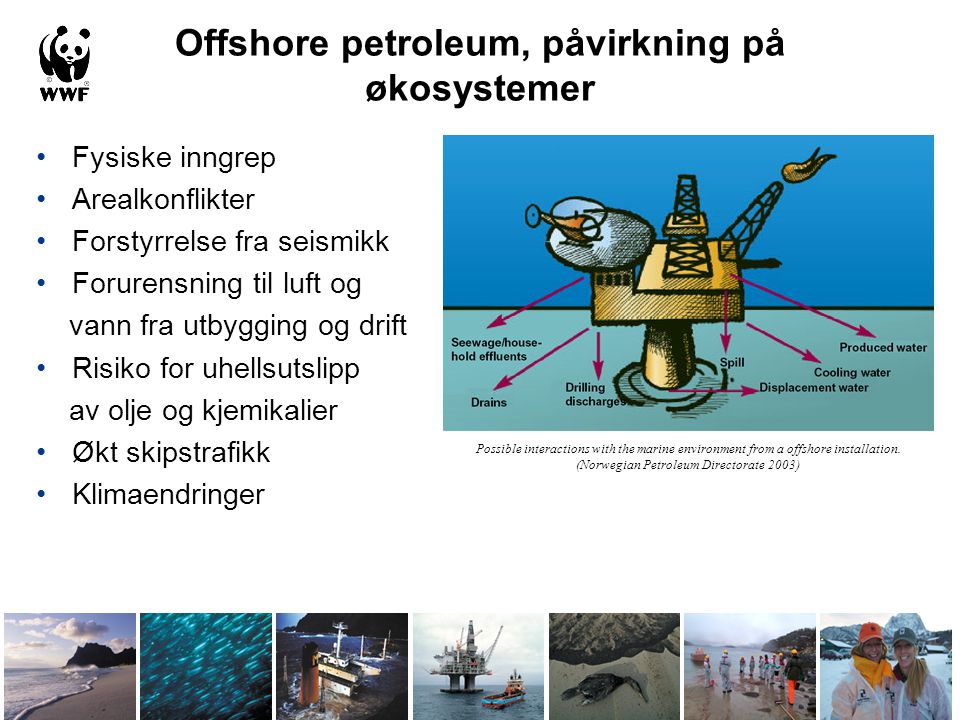 Offshore petroleum, påvirkning på økosystemer
