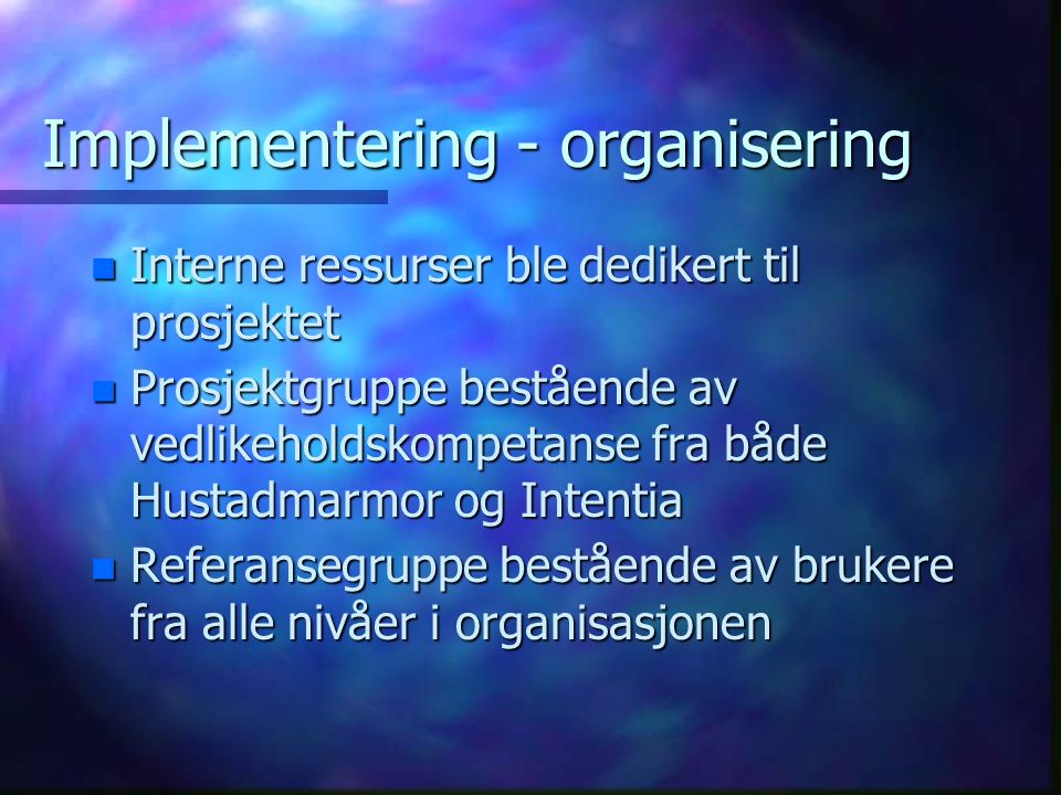 Implementering - organisering